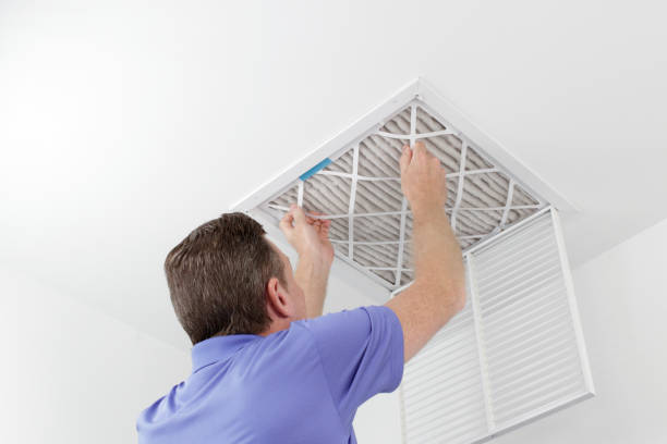 Best Air Duct Mold Removal  in Buchanan, NY
